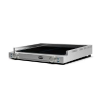 Поверхность жарочная электрическая Spidocook Spidoflat SР 300
