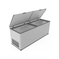 Ларь морозильный Frostor F700SD