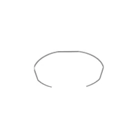 Пружина держателя фильтра для кофемашины Nuova Simonelli Microbar 08000017