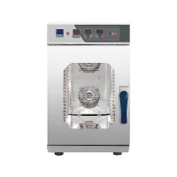 Пароконвектомат Radax Turgenev TR10DY0L