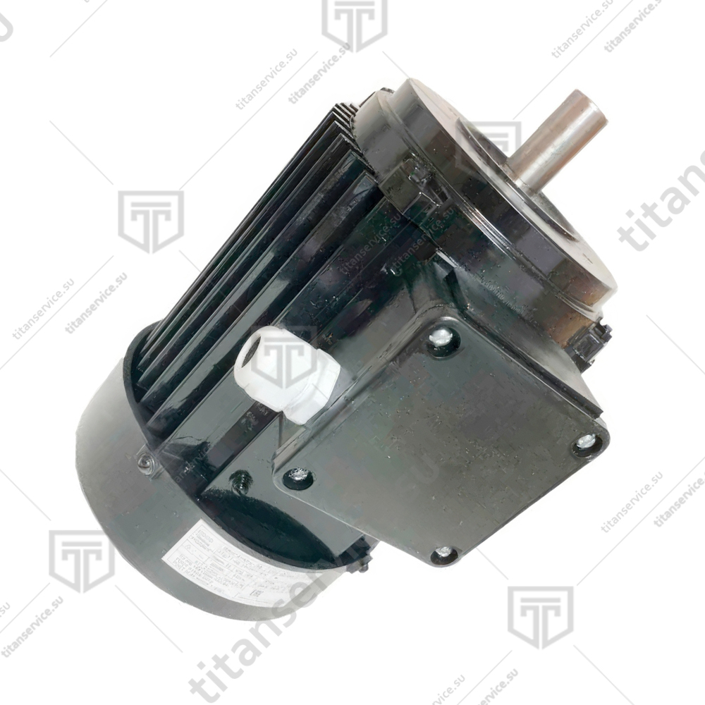 Двигатель STg 71-4B 3681 380В (0,75/1320 D1-19, D20-100, IP54) для мясорубки МИМ-150 и тестомеса МТ-25 Торгмаш Барановичи - фото №1