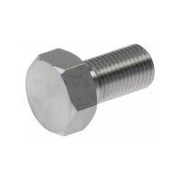 Винт стальной M12X20 испарителя для льдогенератора Brema G 150 20663 (5059914)