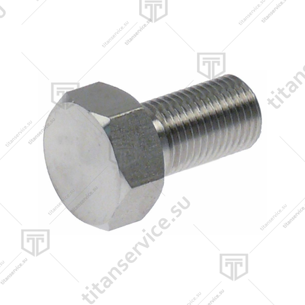 Винт стальной M12X20 испарителя для льдогенератора Brema G 150 20663 (5059914) - фото №1