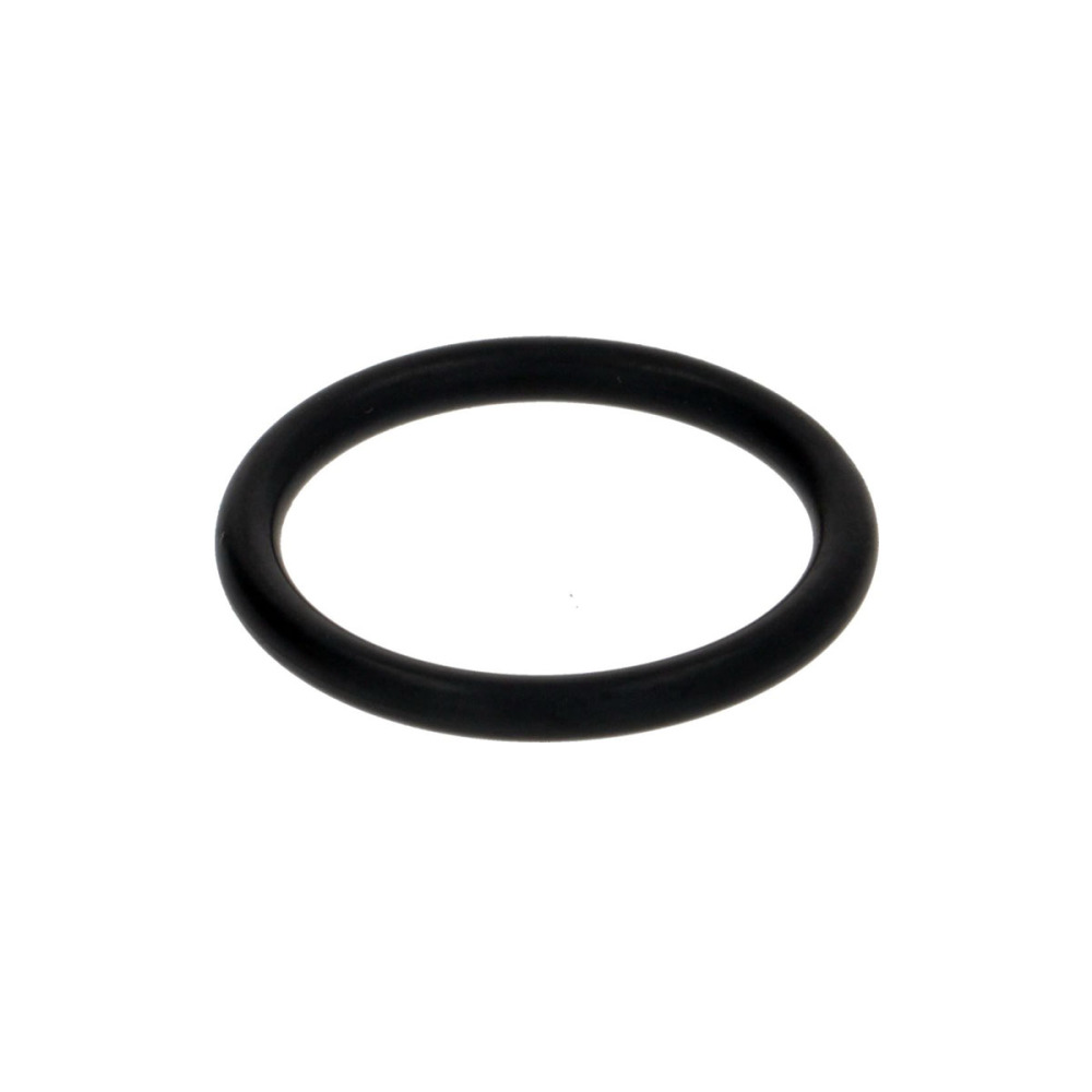 Уплотнительное кольцо EPDM 128 Ø20.62X2.62 для кофемашины Sanremo F18 SB 10054436
