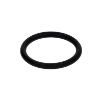 Уплотнительное кольцо EPDM 128 Ø20.62X2.62 для кофемашины Sanremo F18 SB 10054436