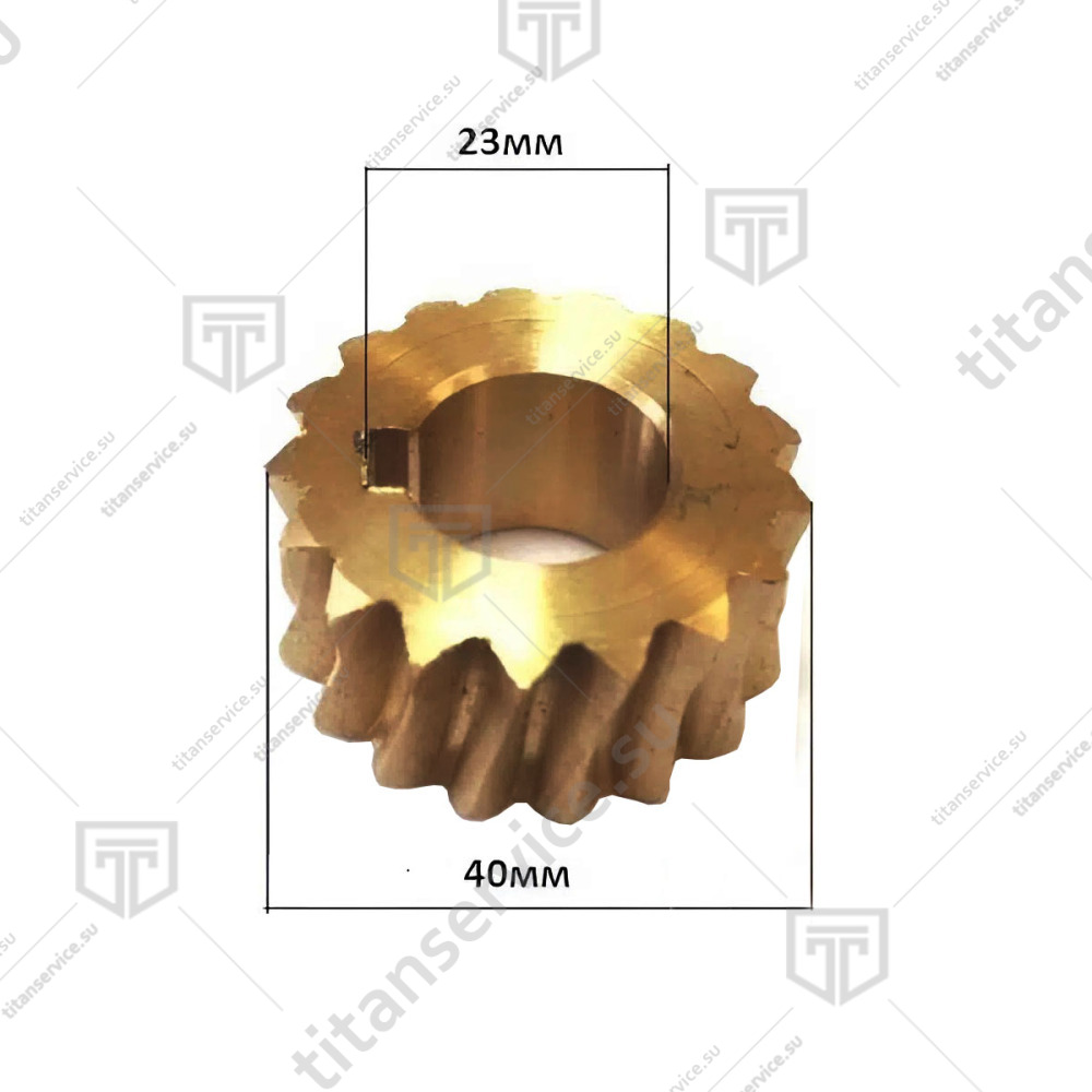 Шестерня червячная для мясорубки Gastromix MG-12B-12 - фото №1