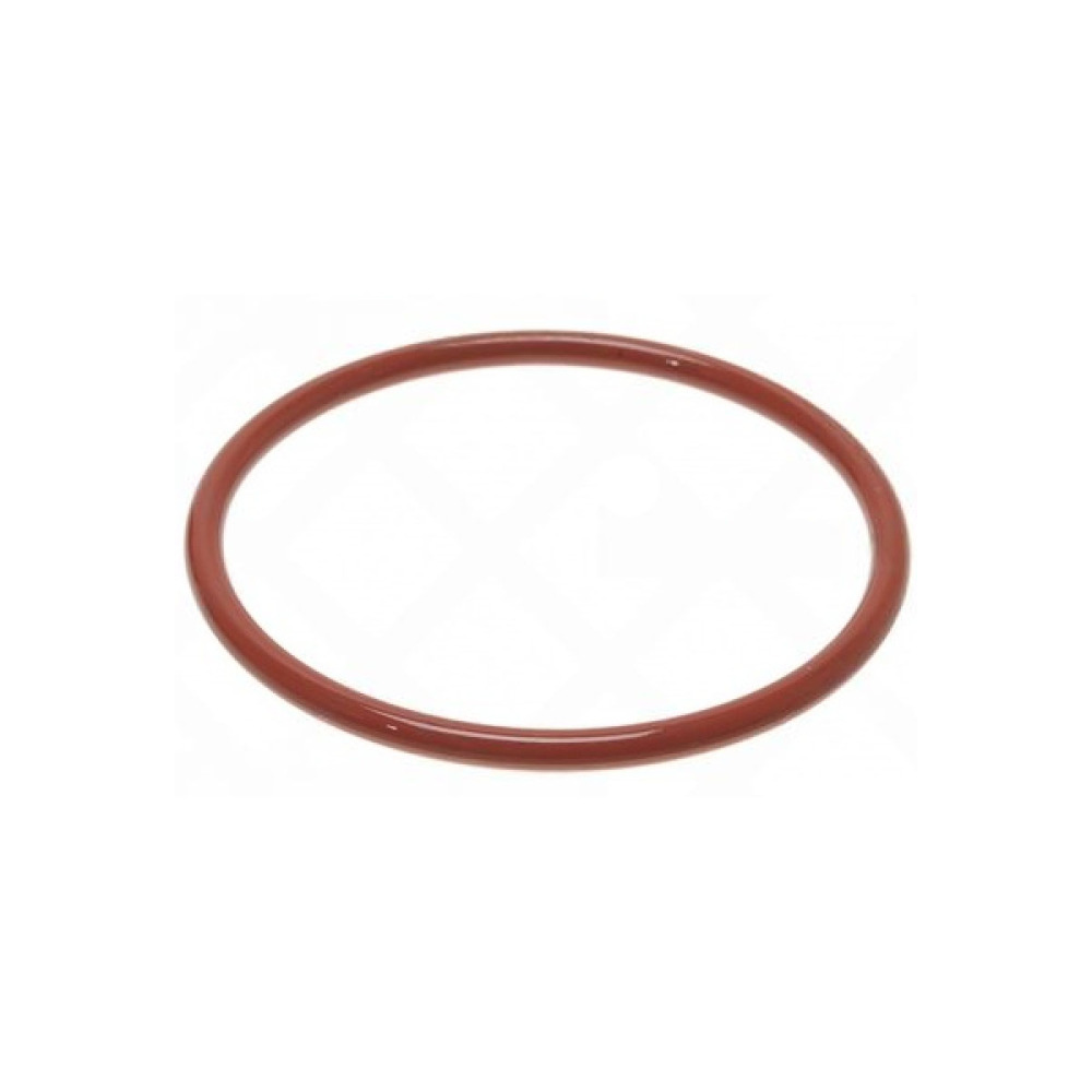 Кольцо уплотнительное корпуса ротора фризера Ugolini Minigel 22700-02300