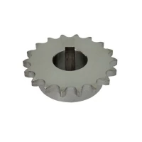 Шестерня для тестомеса спирального Apach Cook Line ASM60F 2S 5P030017