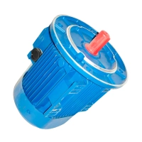 Двигатель АИР 90L4 2,2/1500 комбинированный для мясорубки Торгмаш Барановичи МИМ-600