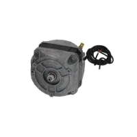 Электродвигатель помпы для сокоохладителя Ugolini Arctic Compact 22800-04705