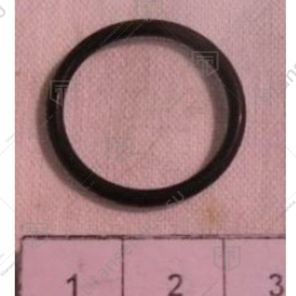 Кольцо уплотнительное в наборе для колбасного шприца SIRMAN IS IDR.VERT.  LF1211305 - фото №1