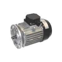 Мотор трехфазный  MEC71 с уменьшенным фланцем для посудомоечной машины Dihr AX 3000107