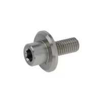 Винт M8 нержавеющий для сыротерки Fama GD/GS F2181