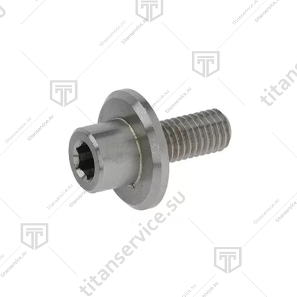 Винт M8 нержавеющий для сыротерки Fama GD/GS F2181 - фото №1