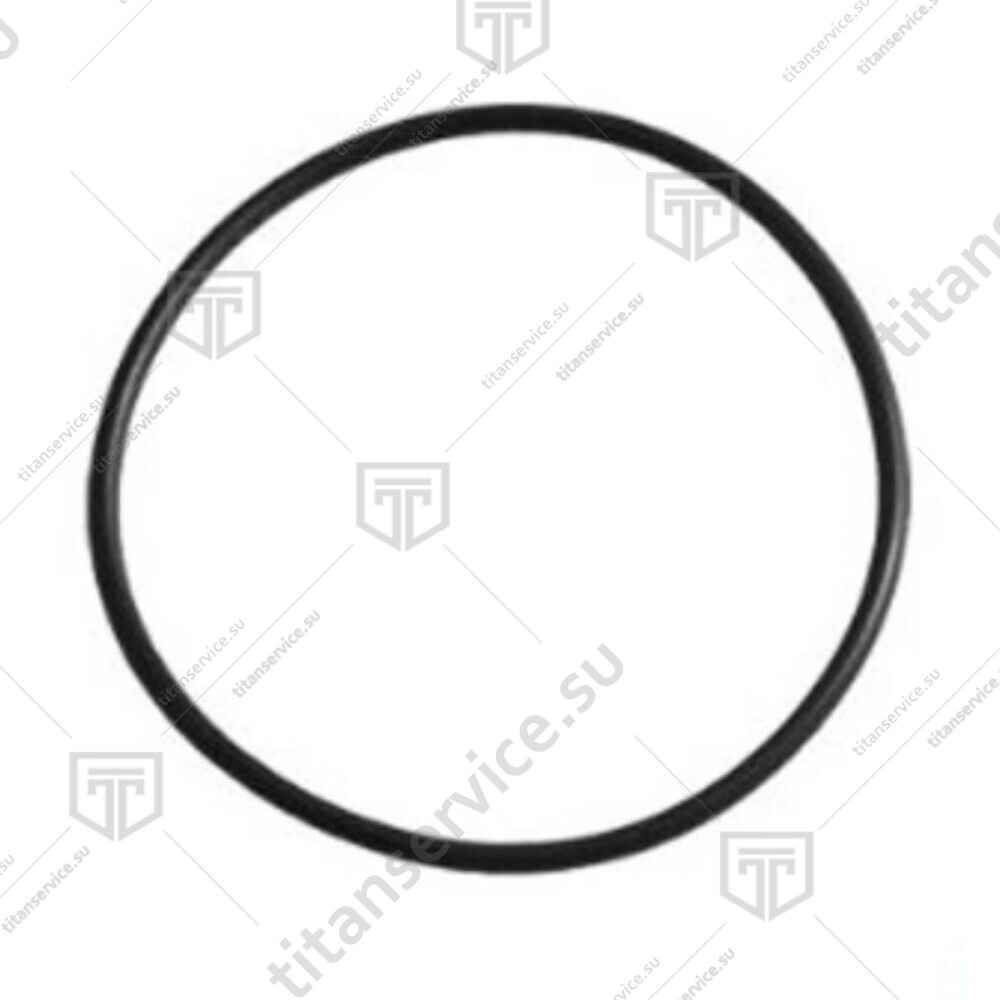 Уплотнительное кольцо для колбасного шприца SIRMAN LF1211001 - фото №1
