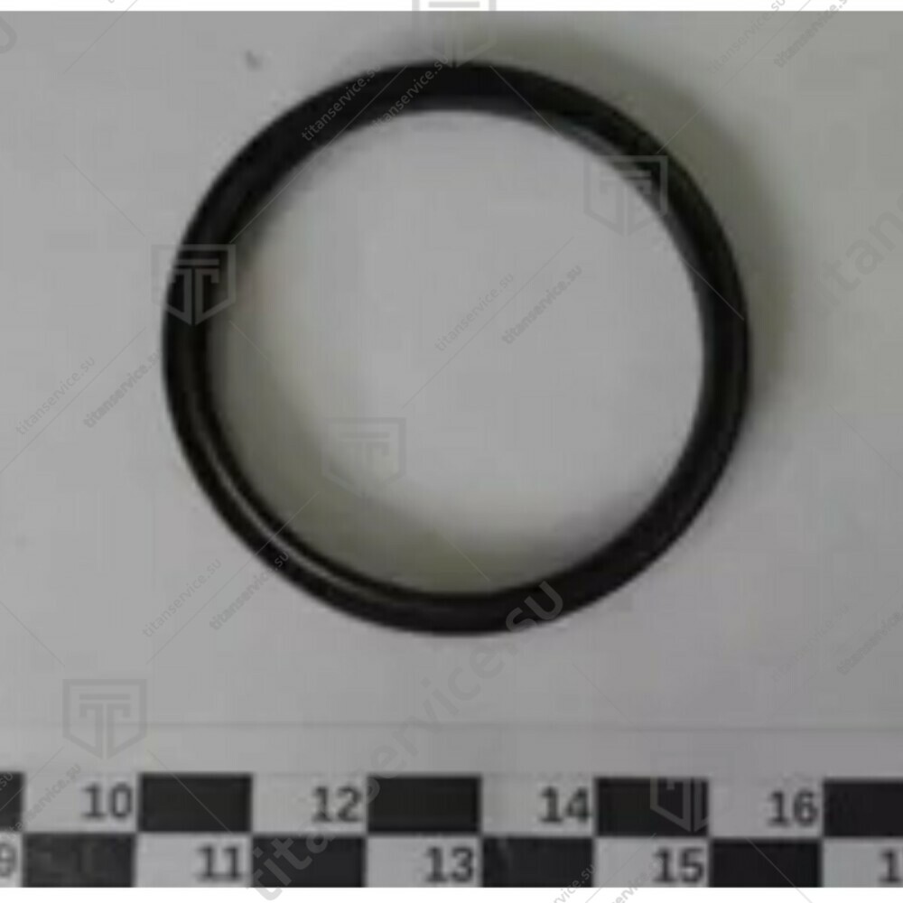Кольцо уплотнительное вала для картофелечистки SIRMAN PPJ/LCJ6 IV4100616 - фото №1