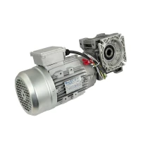 Мотор-редуктор 2-х скоростной для тестомеса спирального Apach ASM48R 2S 5M010512
