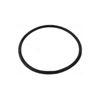 Уплотнение мотора для миксера погружного Apach Cook Line AHM250V F2484