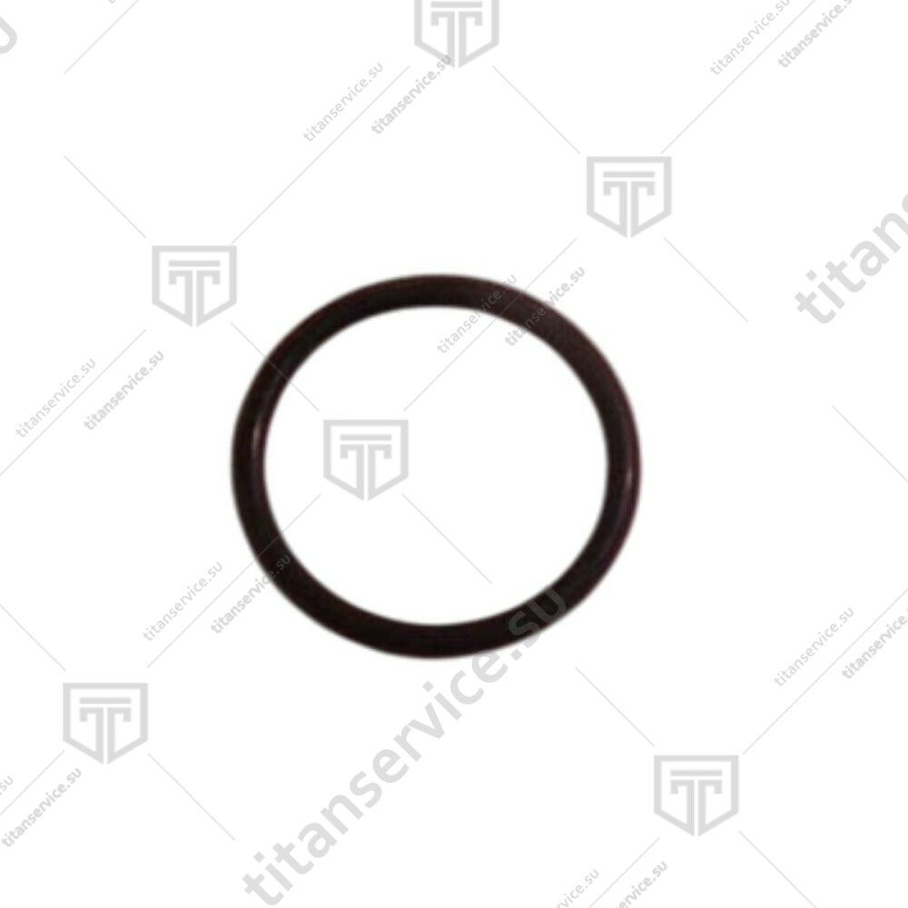 Кольцо уплотнительное в наборе для колбасного шприца SIRMAN IS16/25/50 IDR.VERT.  LF1211305 - фото №1