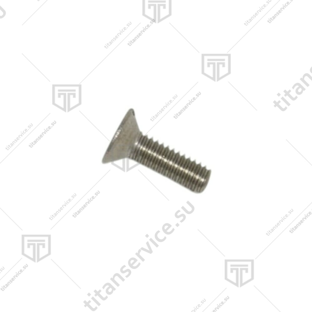 Винт в наборе пилы для резки мяса Sirman SO-1650F/SO-1840F/SO-2020 INOX BASIC 1 фазн IX27991006020 - фото №1