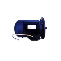 Двигатель АИР 90L4 IM 3081 комбинированный для мясорубки Торгмаш Барановичи МИМ-600