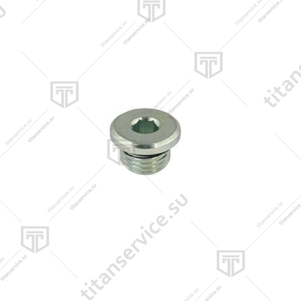 Пробка вакуумного насоса упаковщика вакуумного Apach Cook Line AVM308L - фото №1