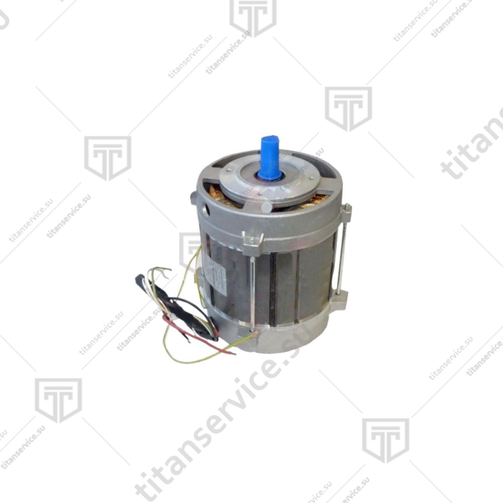 Электродвигатель однофазный асинхронный для мясорубки Fimar 22RS/TS SA1009 - фото №1