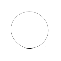 Кольцо стопорное для стиральной машины Electrolux Professional myPRO 1325562005