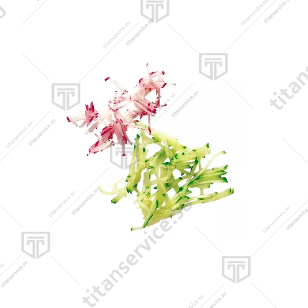 Диск соломка  для овощерезки 2х2мм Robot Coupe CL20 27599 - фото №5