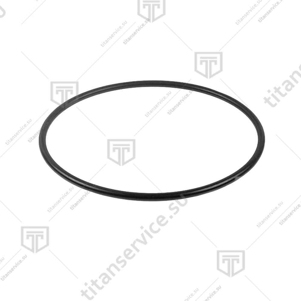 Кольцо уплотнительное для шприца колбасного Sirman IS 8 Aries LF1211001 - фото №1