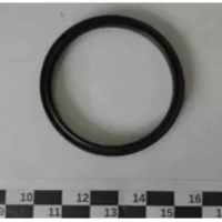 Кольцо уплотнительное вала для картофелечистки Sirman PPJ/LCJ6 IV7200606