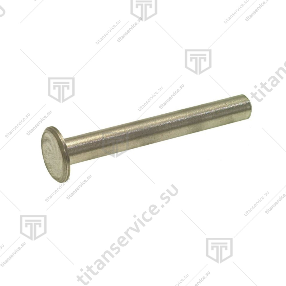 Штифт для петли дверной котломоечной машины Dihr LP 22220/A - фото №1