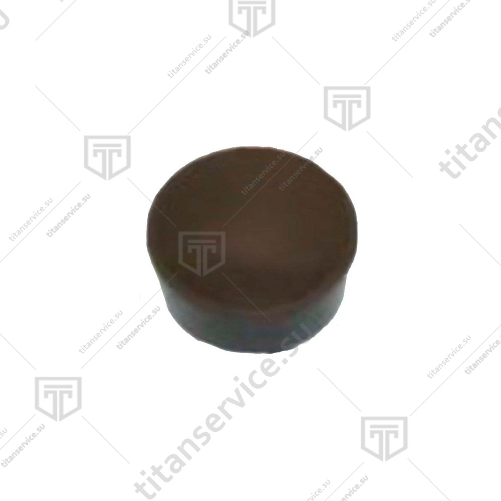 Заглушка винта для бликсера Robot Coupe Blixer 10E/15Е 59453 - фото №1