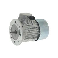 Двигатель конвейера MEC71 B5 400В для посудомоечной машины Dihr AX 3000110