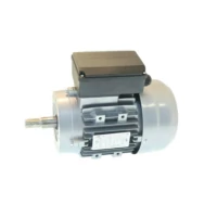 Двигатель пилы для резки мяса SIRMAN SO 1800 LF1810516