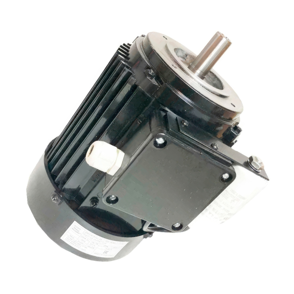 Двигатель SEg71-4B 3681 220В (0,75/1320 D1-19, D20-100, IP54) для мясорубки Торгмаш Барановичи МИМ-150-01