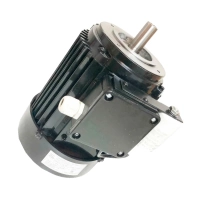 Двигатель SEg71-4B 3681 220В (0,75/1320 D1-19, D20-100, IP54) для мясорубки Торгмаш Барановичи МИМ-150-01