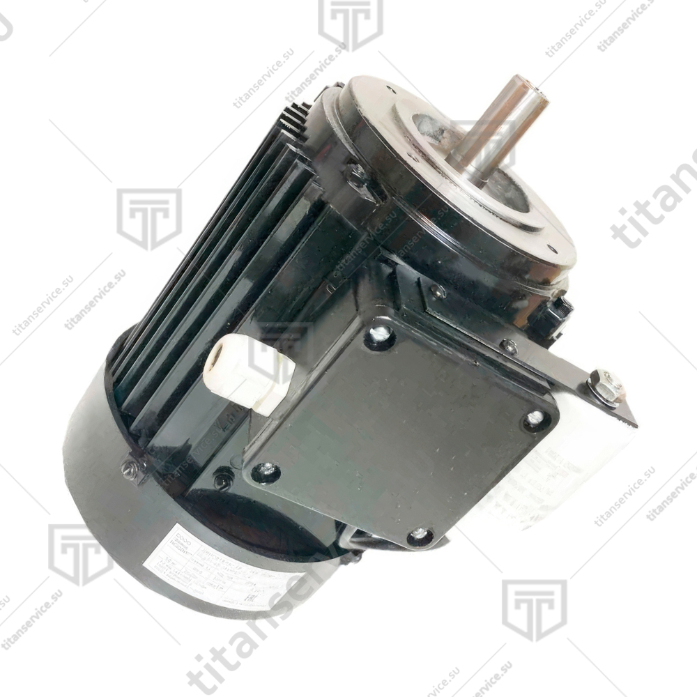 Двигатель SEg71-4B 3681 220В (0,75/1320 D1-19, D20-100, IP54) для мясорубки Торгмаш Барановичи МИМ-150-01 - фото №1