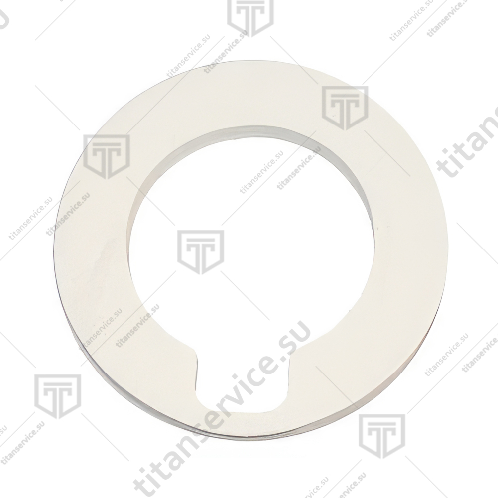 Кольцо изоляционное горелки парогенератора SCC 61-202G Rational 72.00.048P - фото №1
