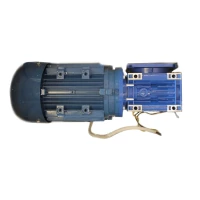 Мотор-редуктор для тестомеса спирального Apach Cook Line ASM48F 5M010510