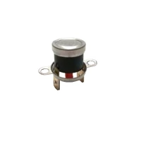 Термостат для посудомоечной машины Apach Cook Line AC800 236039