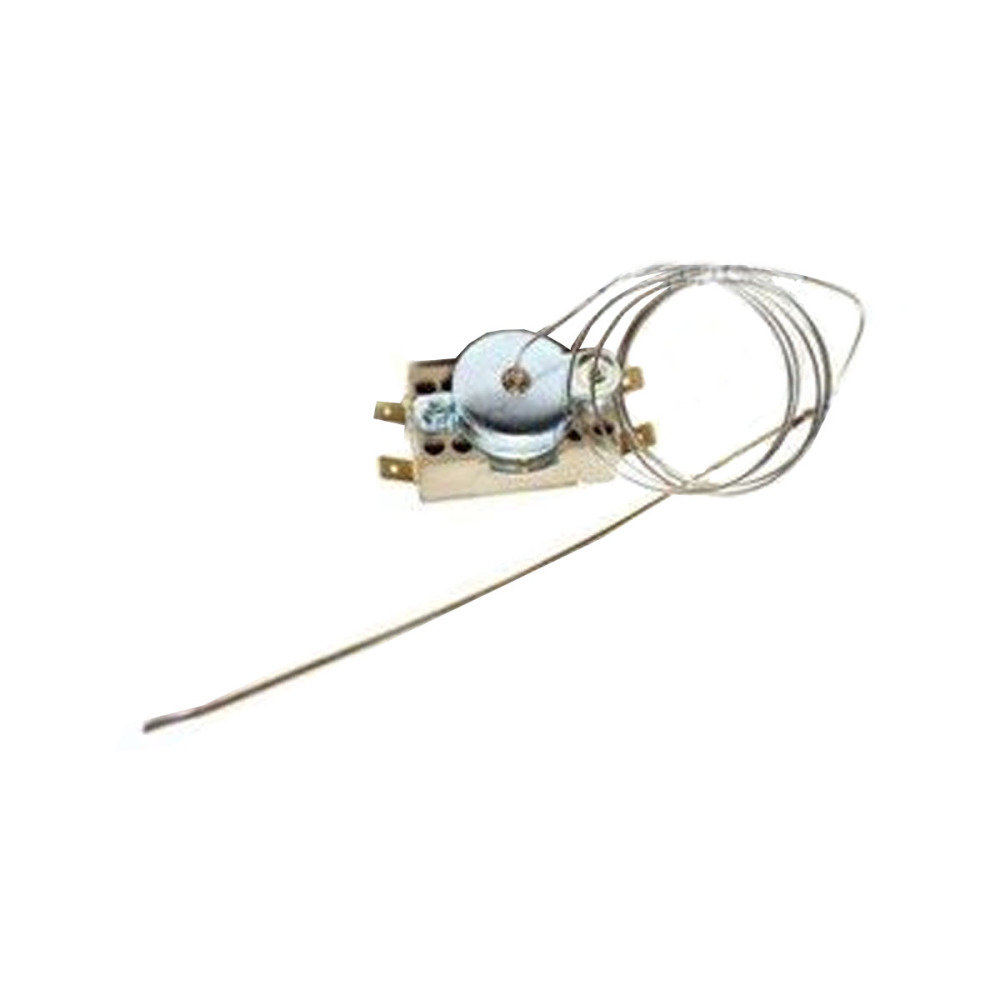 Термостат для пароконвектомата Apach Cook Line AP5M 020TER0005