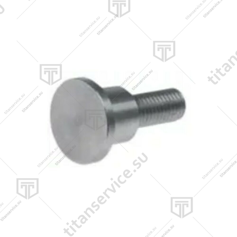 Винт ленточной пилы для резки мяса Sirman SO1840 LF2010009 - фото №1