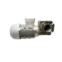Мотор-редуктор для тестомеса спирального Apach Cook Line ASM16/22 5M010502