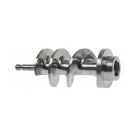 Шнек для мясорубки Fimar 22 SA5500