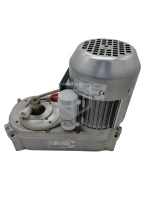 Мотор-редуктор для льдогенератора G250/500/1000 BREMA 23638