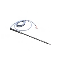 Термощуп ДТС-174 для печи-коптильни Robolabs Истома-Э
