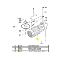 Двигатель двухскоростной DN30B2/4-14 для тестомеса спирального Fimar 12/CN SL3313