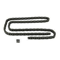 Цепь дежи для тестомеса спирального Apach Cook Line ASMX33F CIL00101