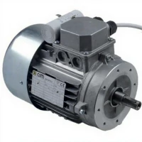 Двигатель пилы для резки мяса SIRMAN SO1650/1840 1Ф. LF1810001